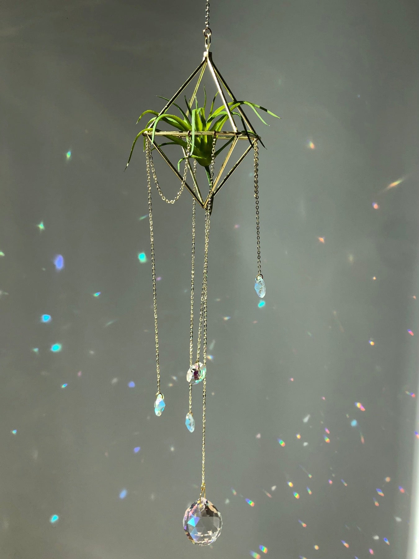Air Plant Holder Suncatcher