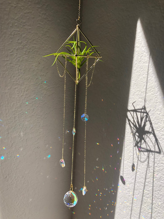 Air Plant Holder Suncatcher